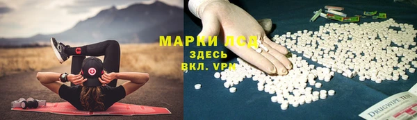 ПСИЛОЦИБИНОВЫЕ ГРИБЫ Балабаново