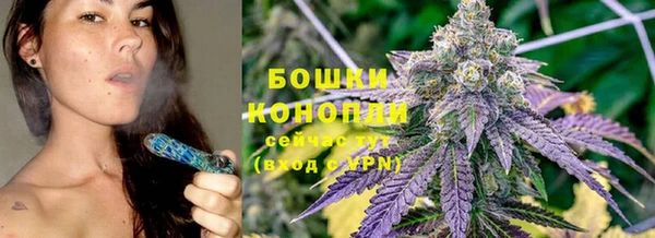 ПСИЛОЦИБИНОВЫЕ ГРИБЫ Балабаново