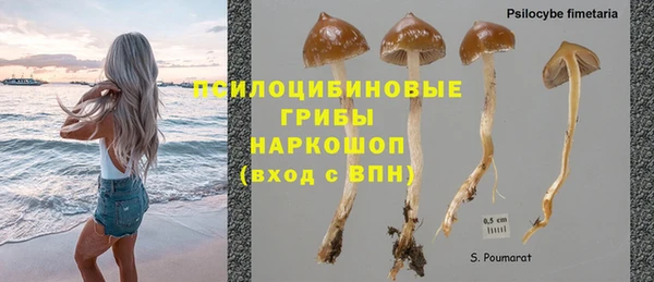 гидропоника Балахна