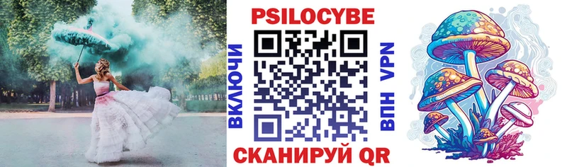 Псилоцибиновые грибы Cubensis  закладки  Коммунар 